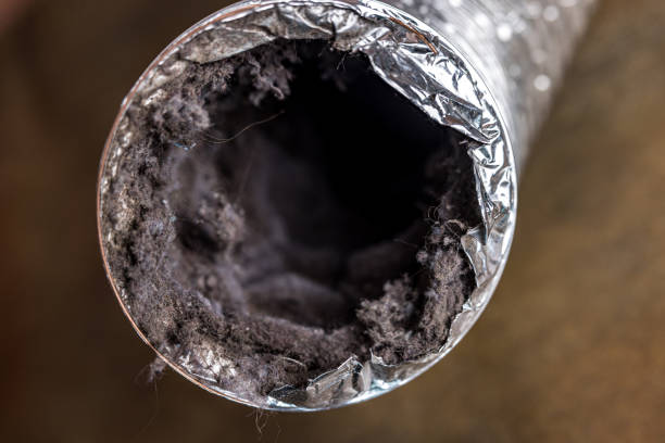 Best Commercial Air Duct Cleaning  in Coldspring, TX